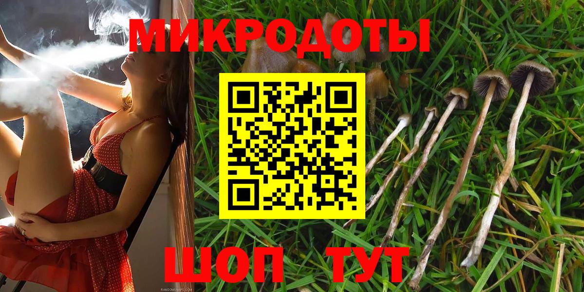 Псилоцибиновые грибы GOLDEN TEACHER Нефтеюганск